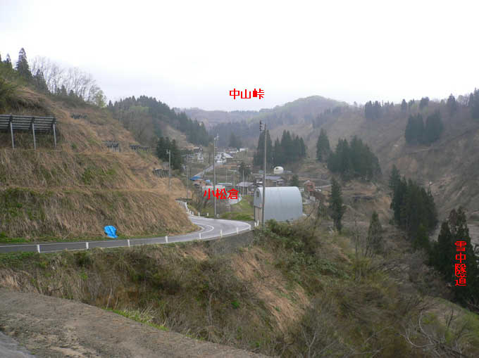 �ʐ^10�@�����q�W���ƒ��R���E�ᒆ詓��i2005�N4�����B�e�j