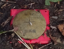 �ʐ^22