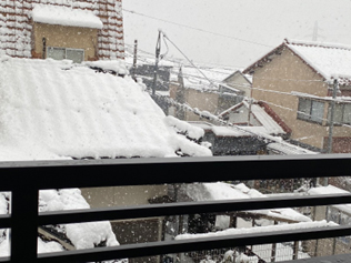 �䂪�Ƃ�2�K���猩���i�F�i���V�[�Y���ŋ��̊��g���Ƃ����j