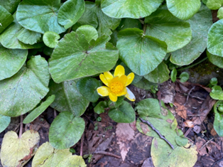 �q�������E�L���J