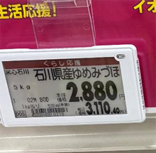 �l���R�g�b�v�摜