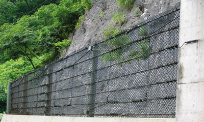 E-FENCE�@�摜