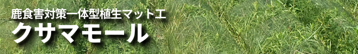 �N�T�}���[��