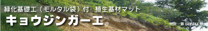 �L���E�W���K�[�H