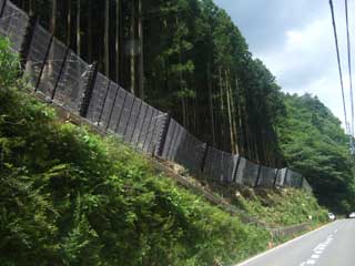 05_�{�H�ʐ^(�ޗǌ�)